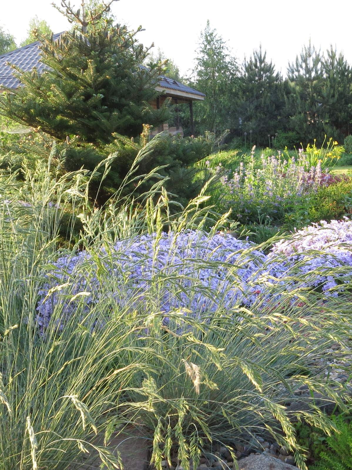 ТЕПЛЫШКО МОЕ. ВЕСНА.