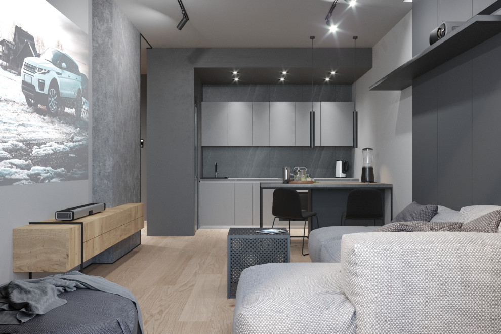 Обложка проекта: Однокомнатная монохромная квартира