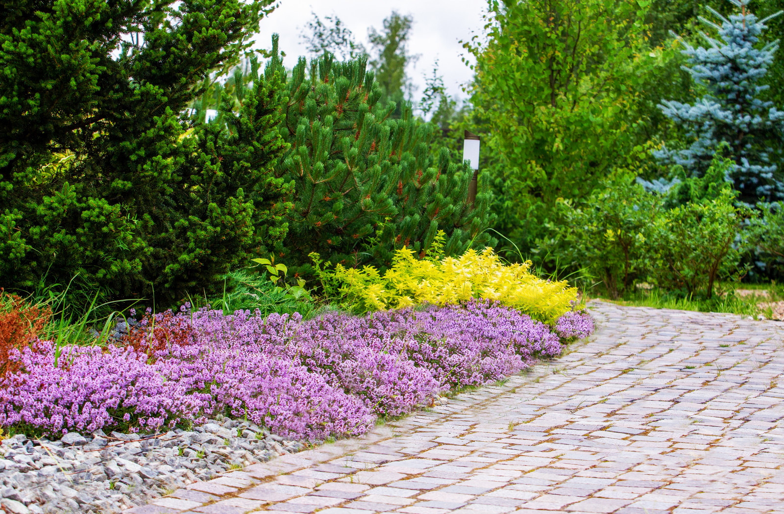 Лесное озеро