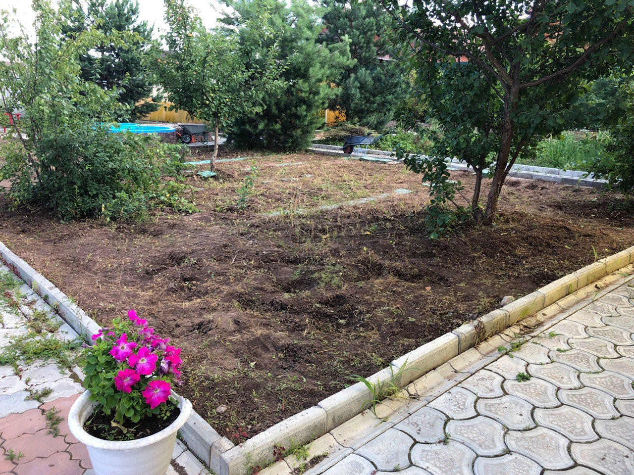 Устройство рулонного газона