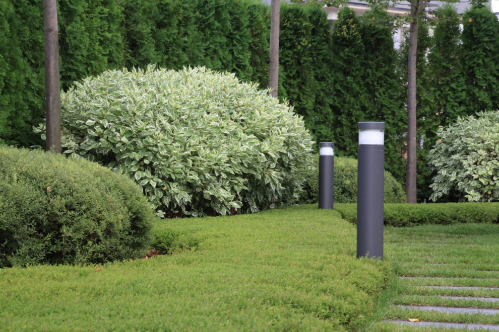 Тихая роскошь