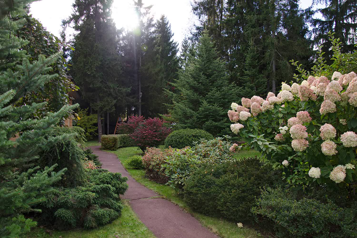 Обложка альбома: ландшафт