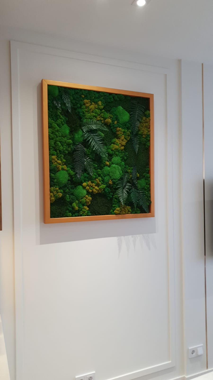 Картина из стабилизированных растений и мха