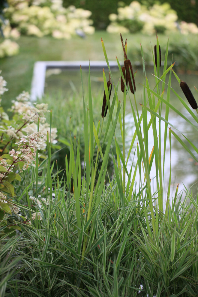 Выставочный сад "Тайны соблазна"