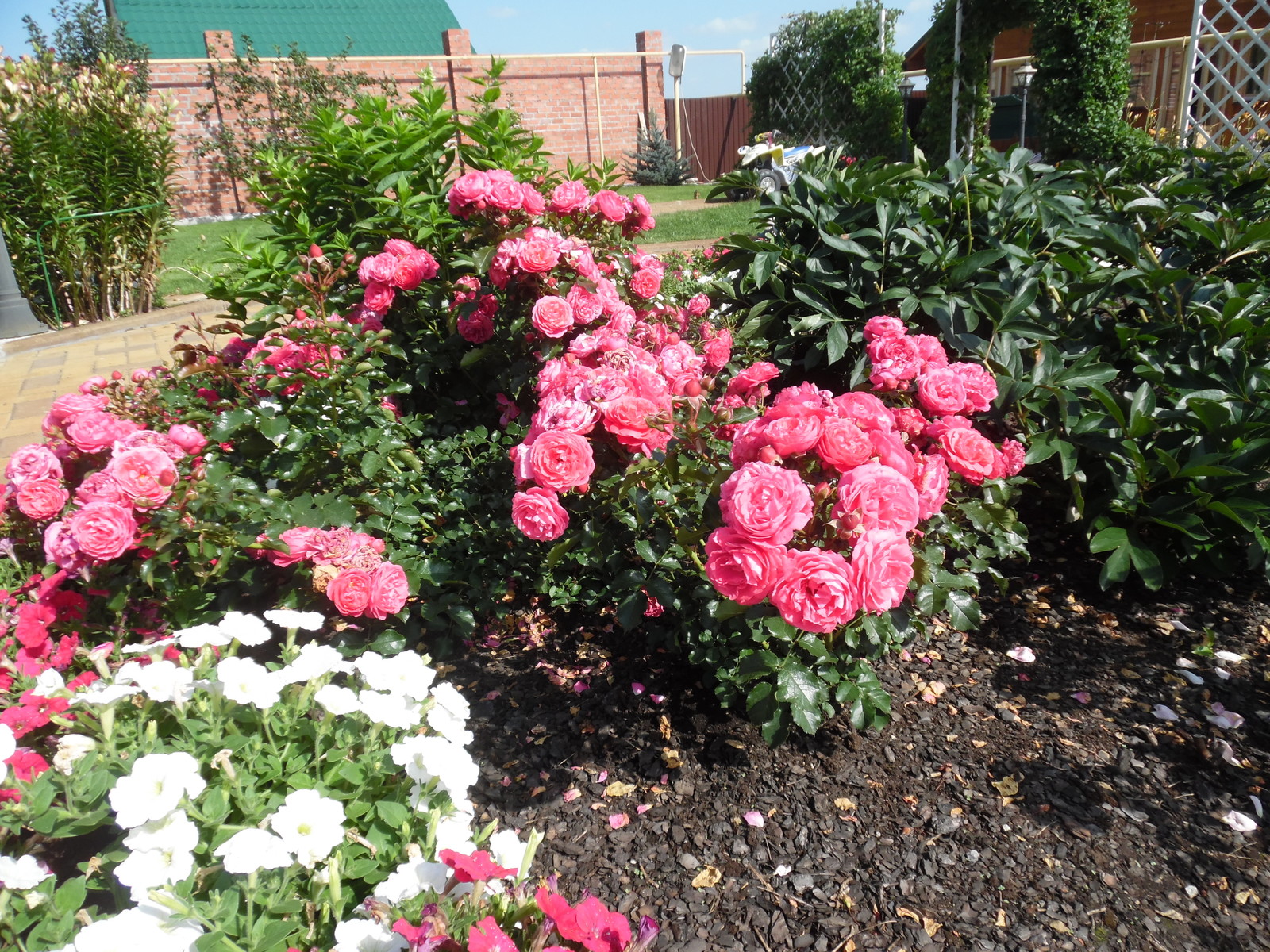 Современная классика. Цветущий сад.