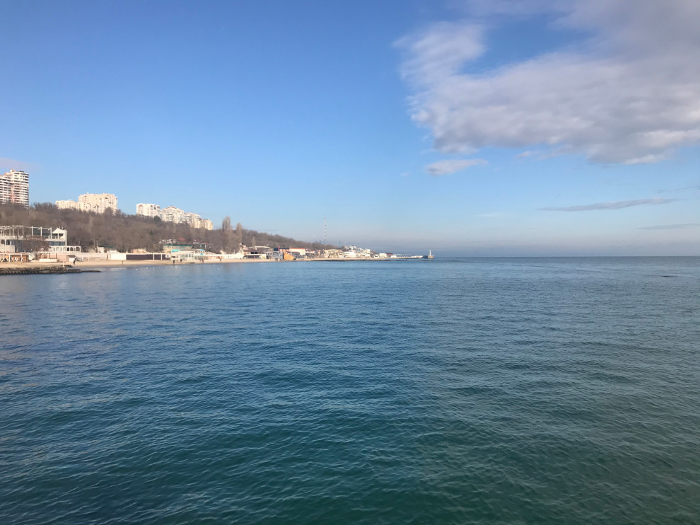 Обложка проекта: apartment MERMAID