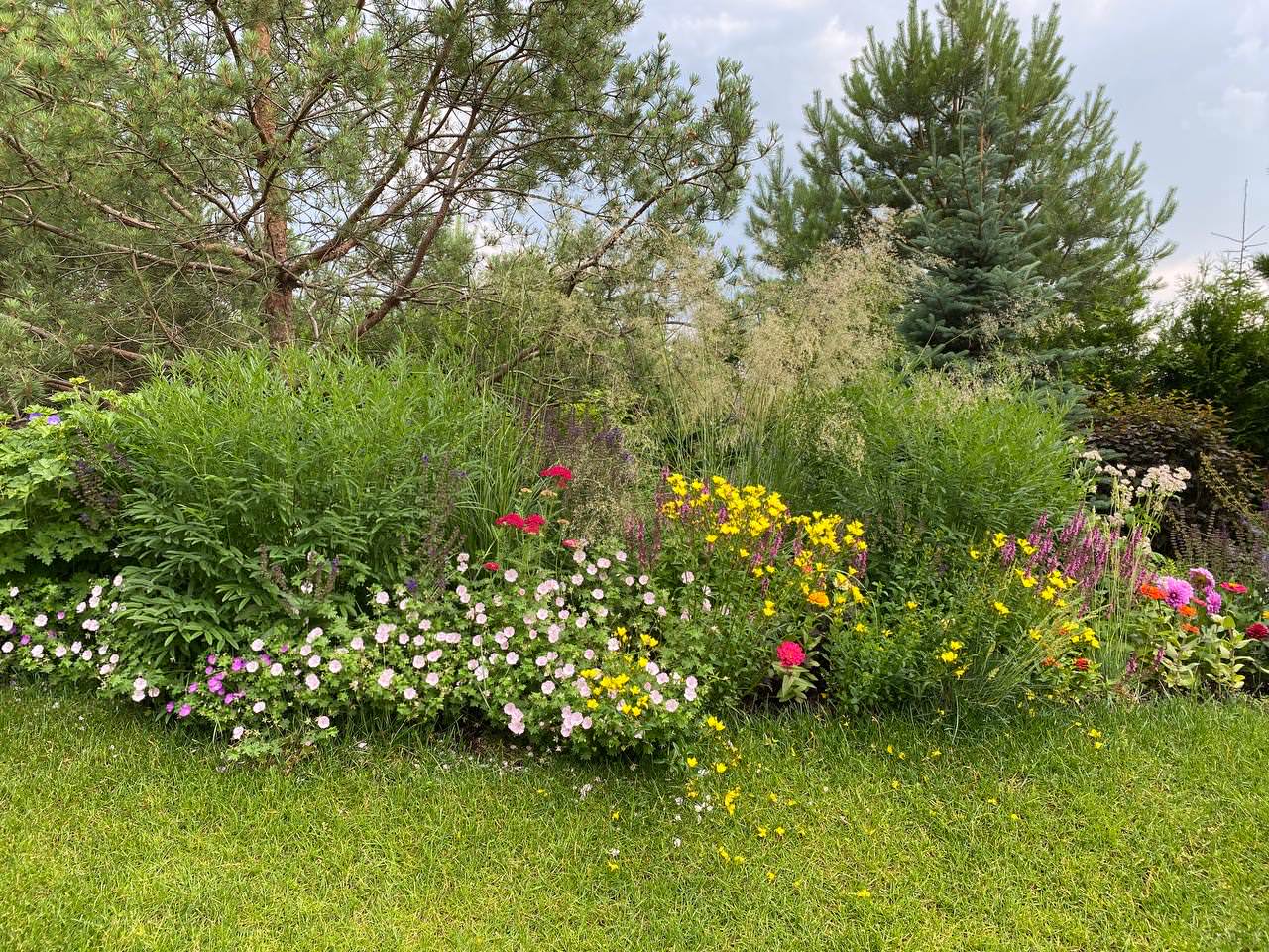 КП Пестово "Evergreen'