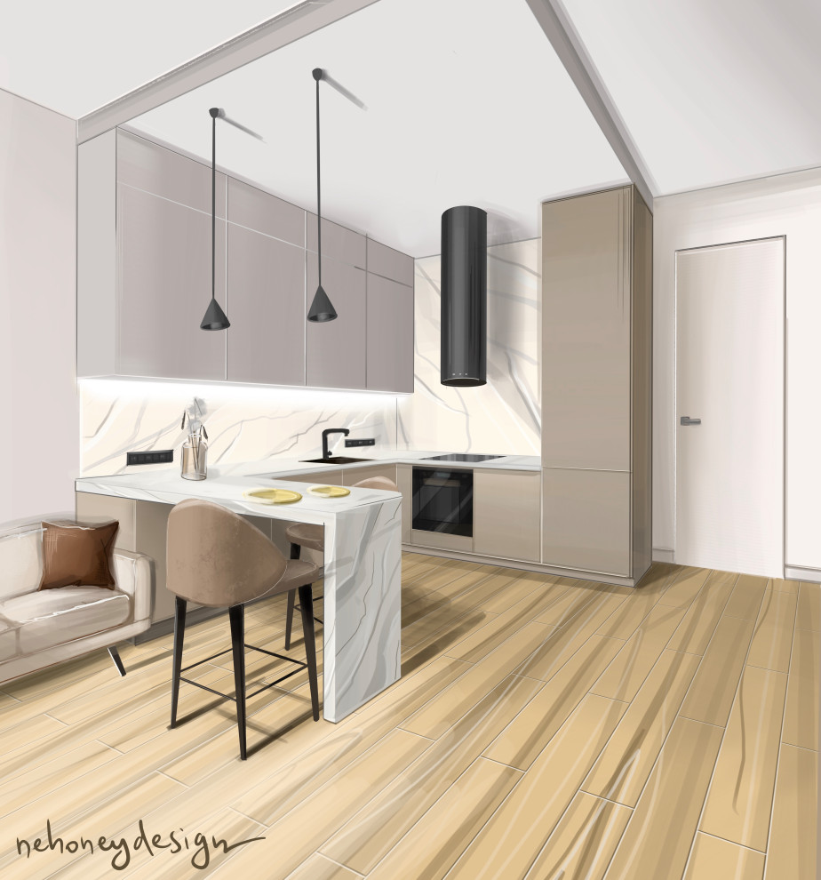 Обложка проекта: Кухня с барной стойкой