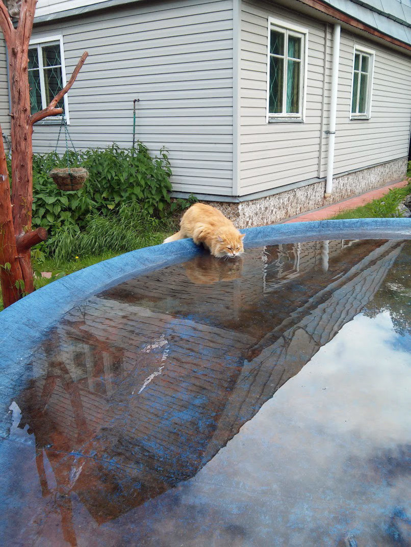 Обложка статьи: Очистка воды в бассейне: Что важно сделать, а на чем — сэкономить