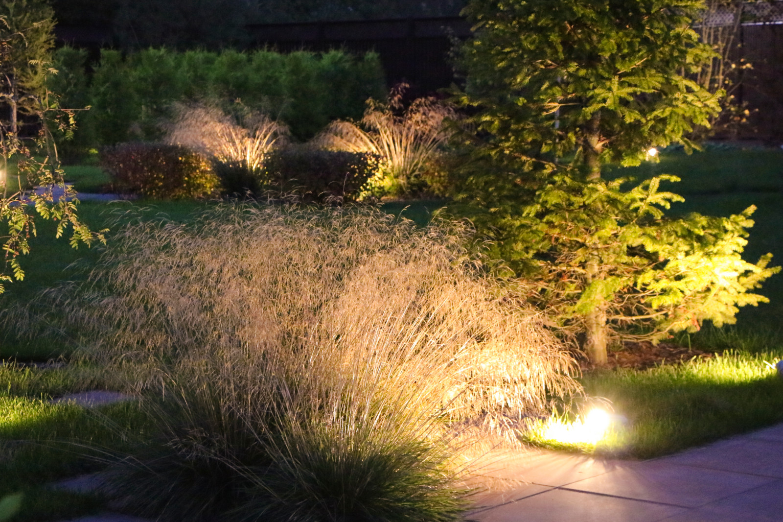 Петровское, ночной сад, 2018-2020 гг.