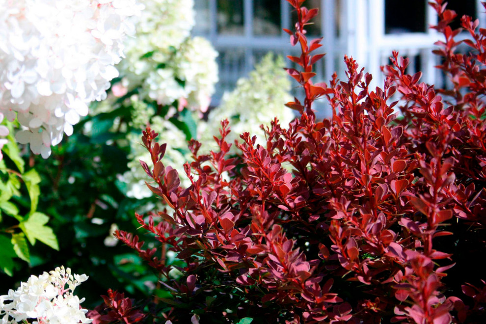 Нижегородский дворик