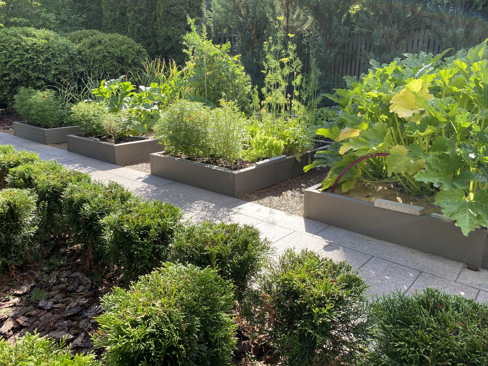 Французский сад. Опалиха. 2021 г.