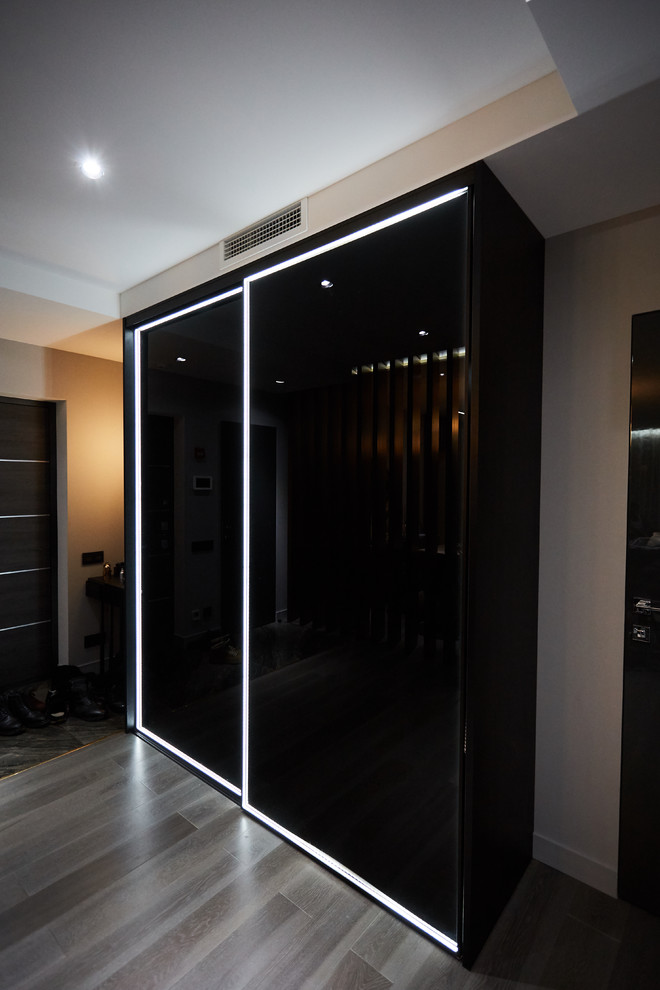 Шкаф-купе raumplus рамка R1200 темная бронза с LED подсветкой