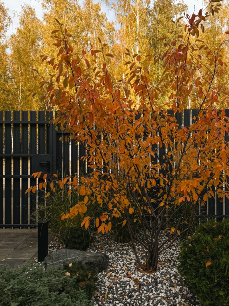 Реализованный проект КП Панорама