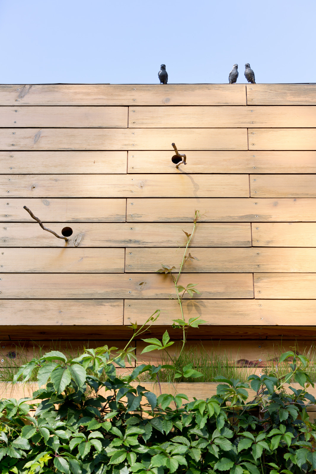 bureau RYNTOVTDESIGN