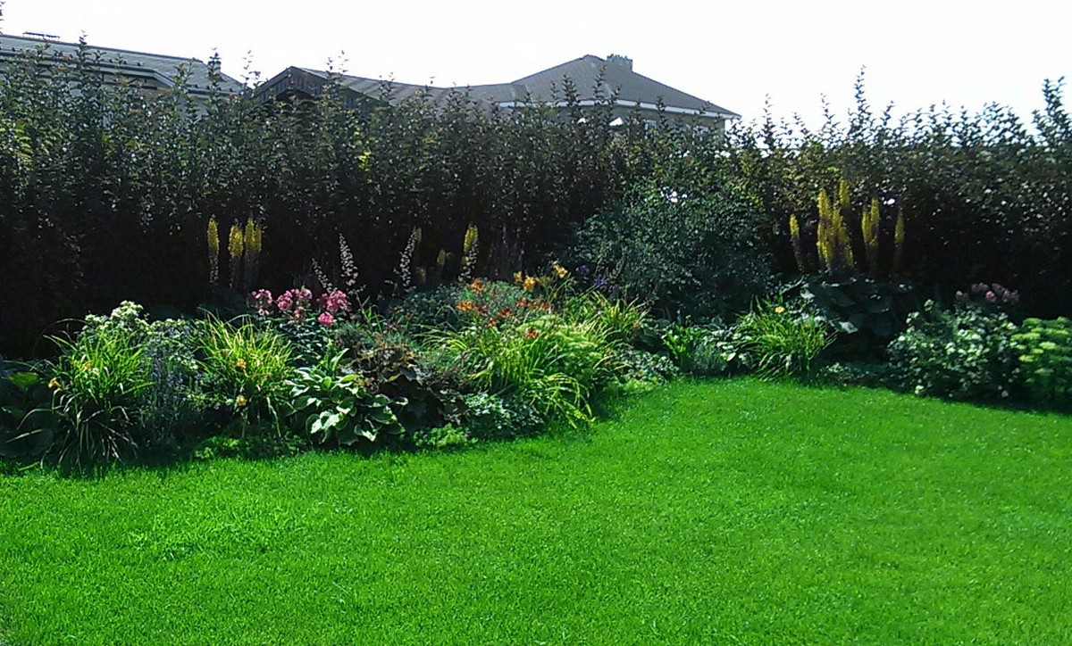 "Теплый ветерок"