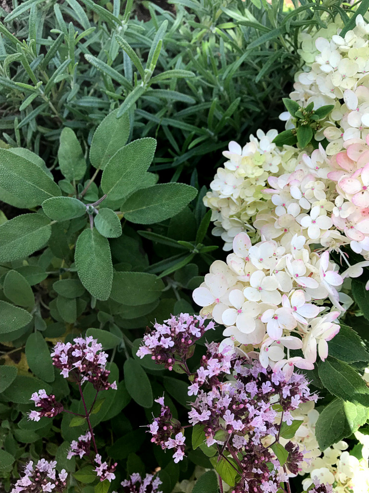 КП Лисавино