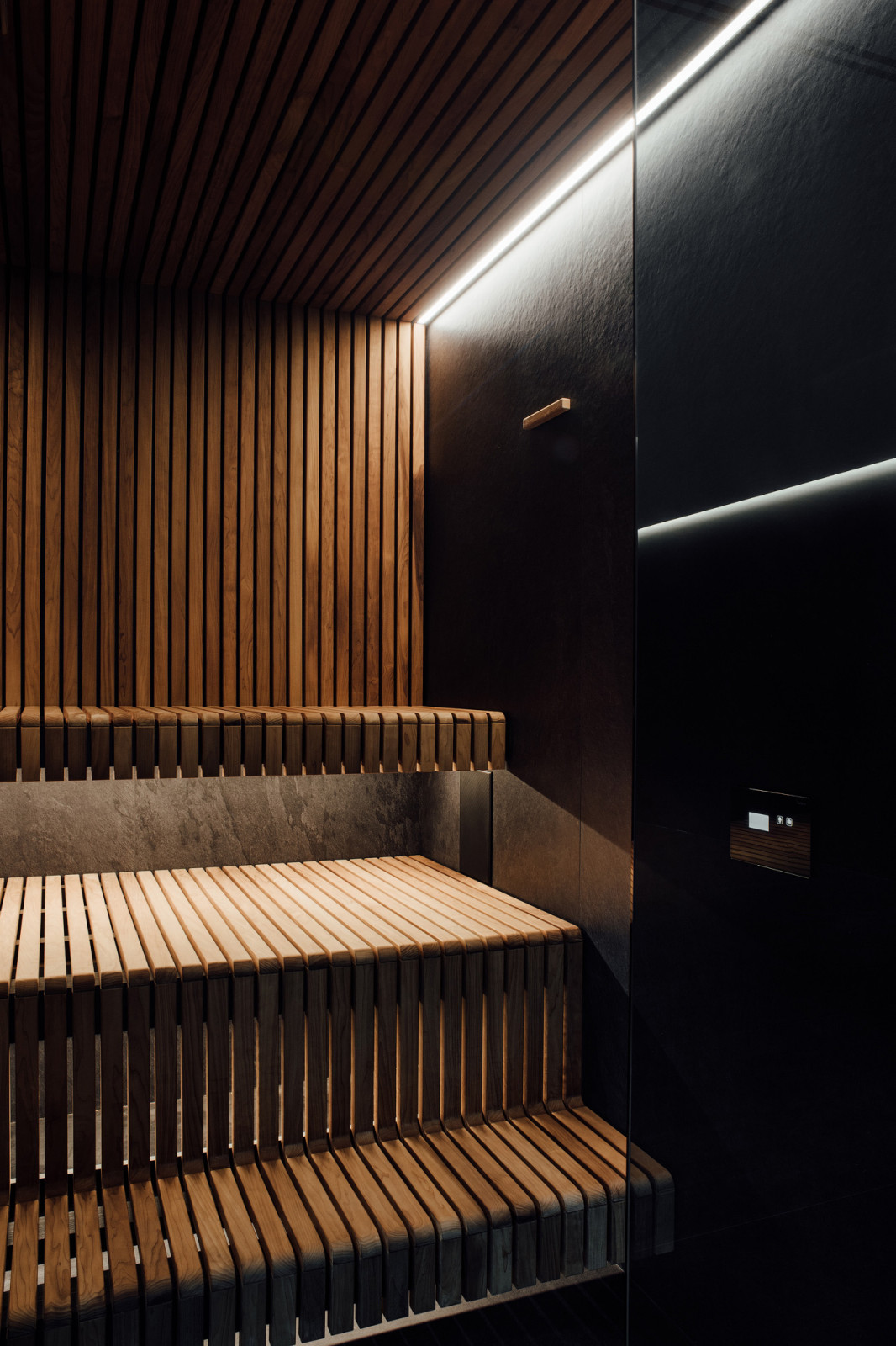 Современная сауна в частном спа