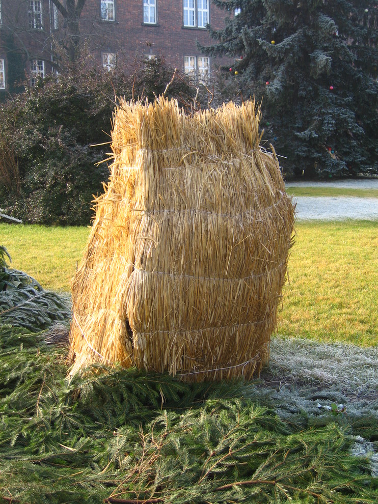 Готовимся к зиме: Последние приготовления в саду и в огороде