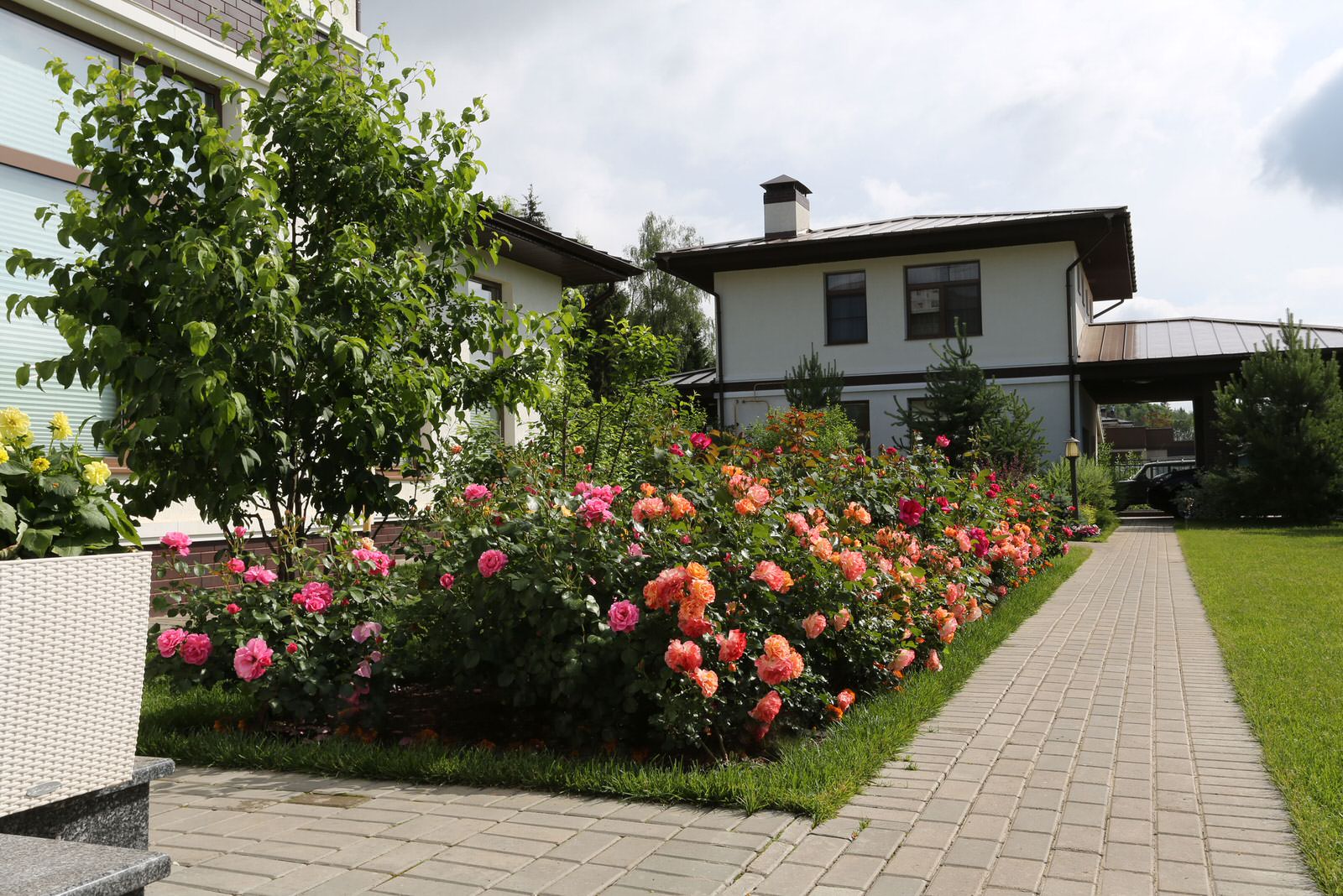 Словно с картины сошедший