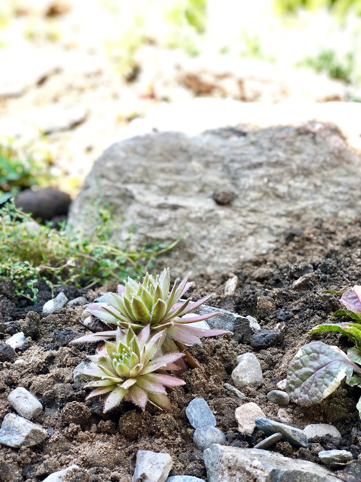 Привет, станица!