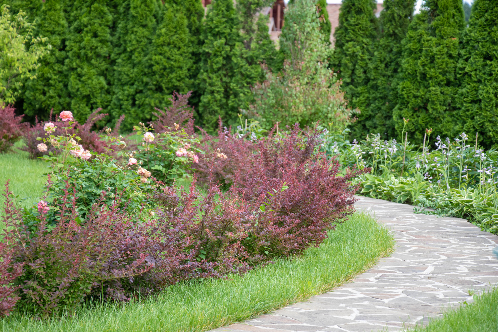 Сосновые берега