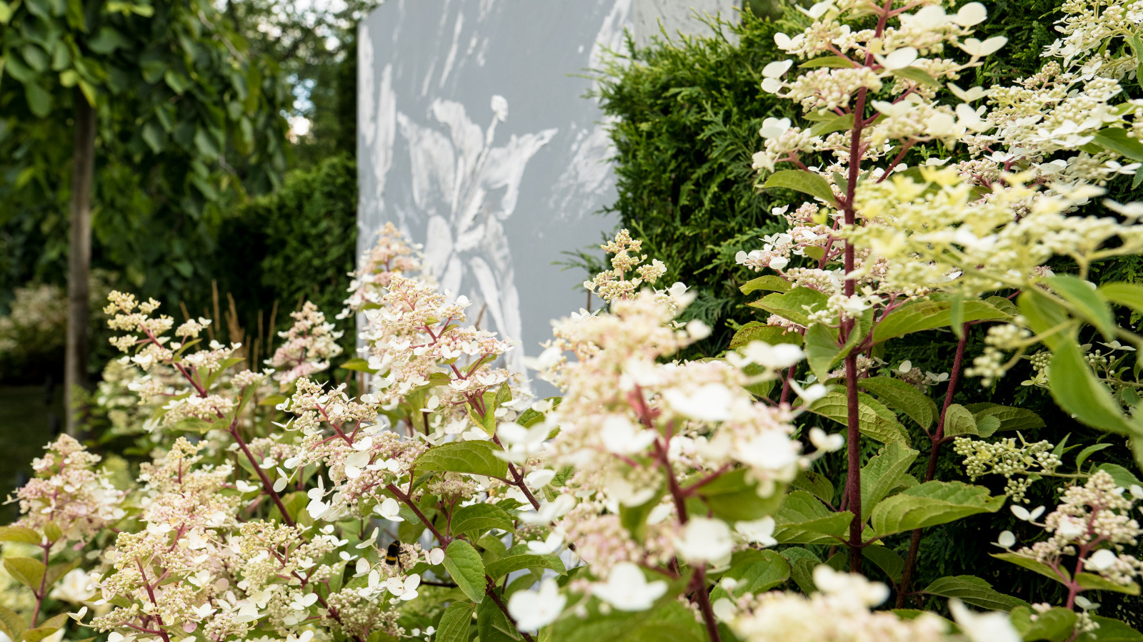 Выставочный сад "Тайны соблазна"