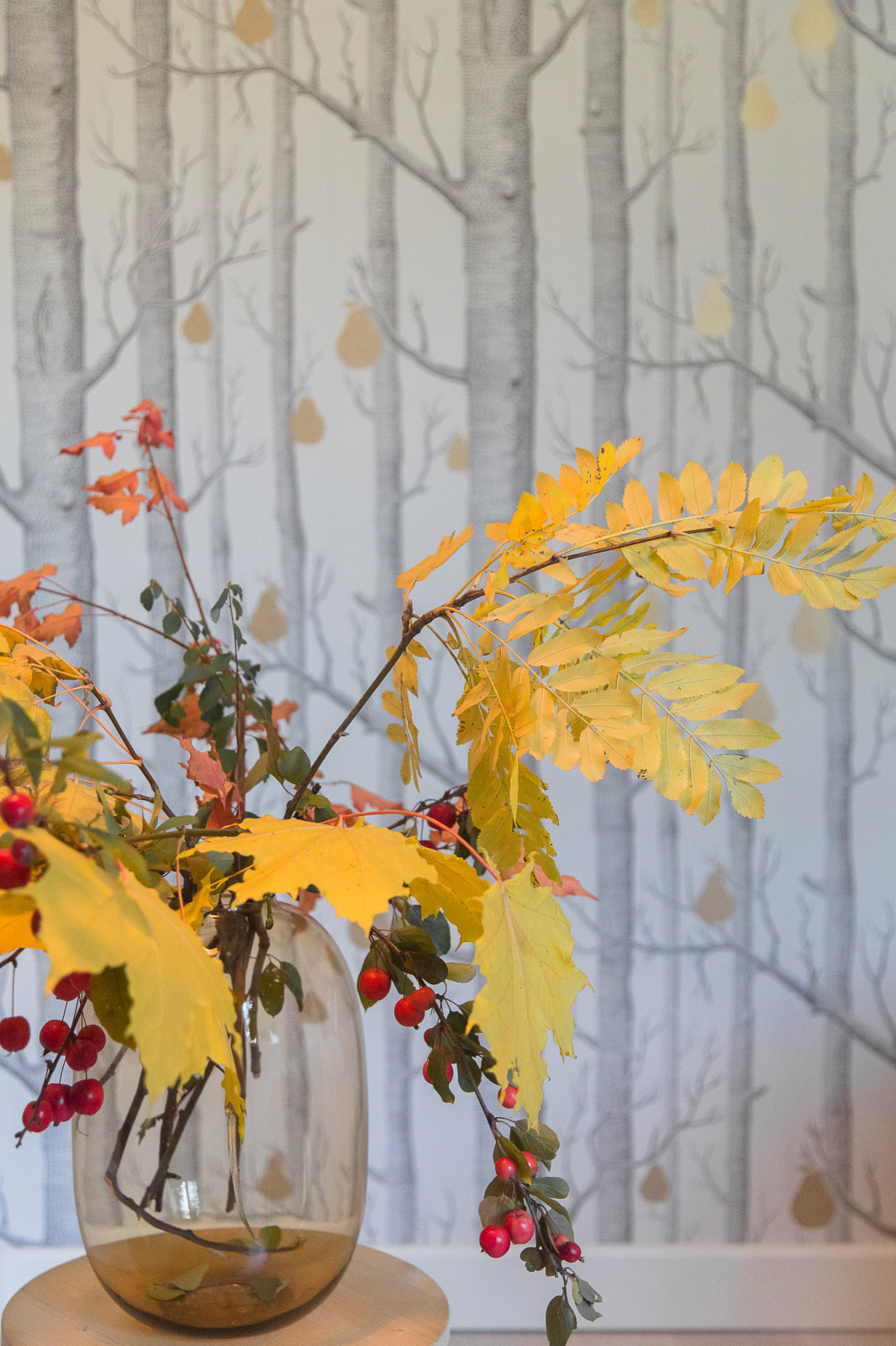 Тёплая осень на Фрунзенской набережной