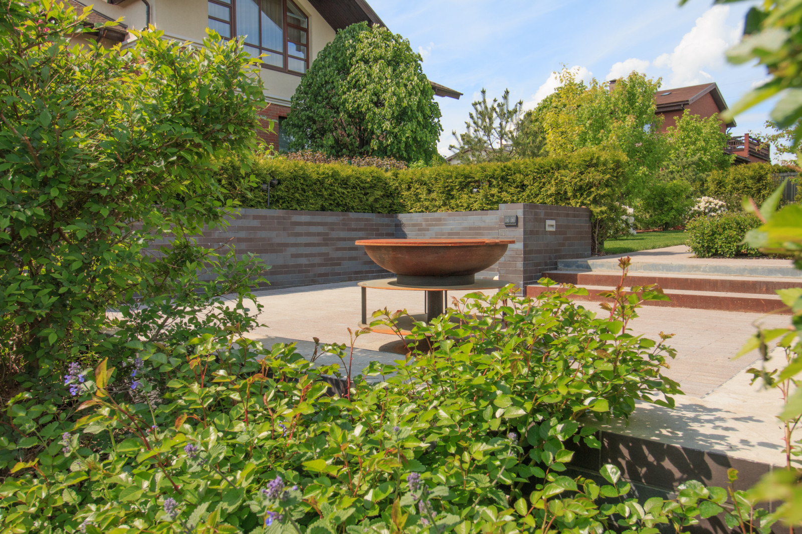 Опушкино_2019