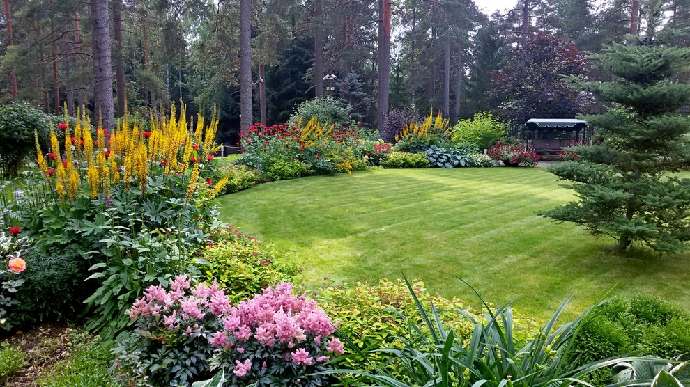 Миксбордер в закатных лучах