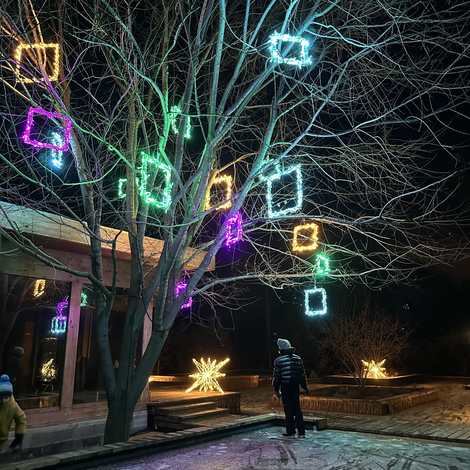 Выставочный сад