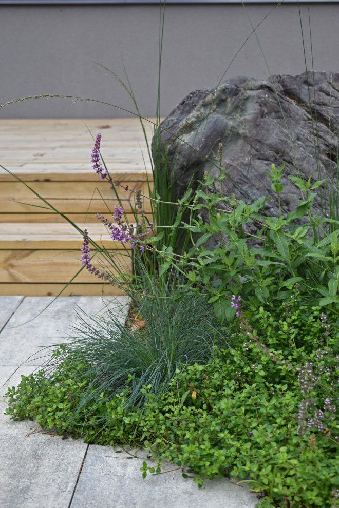 Проект "Волшебное озеро"