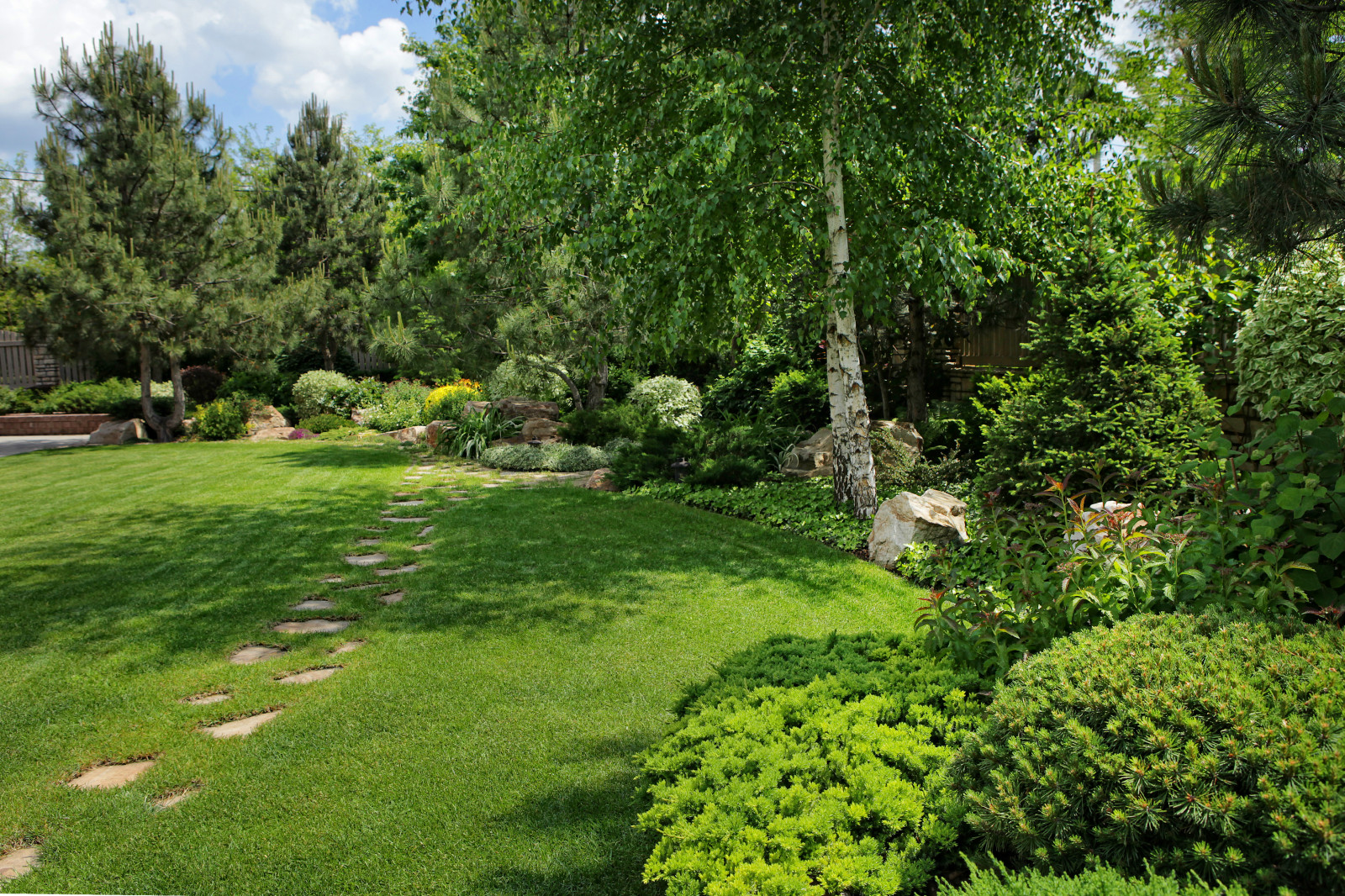 Лесная опушка