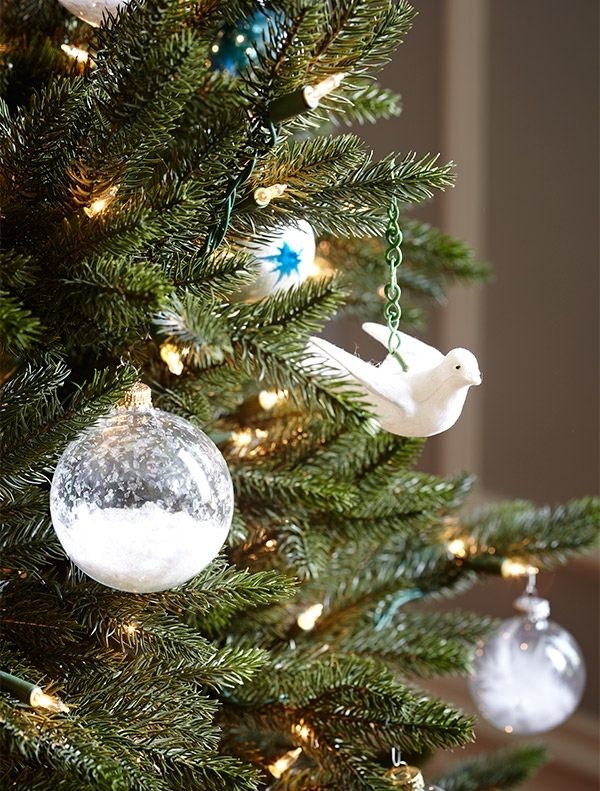 Новогодняя ель в горшке: Можно ли сохранить ее до весны