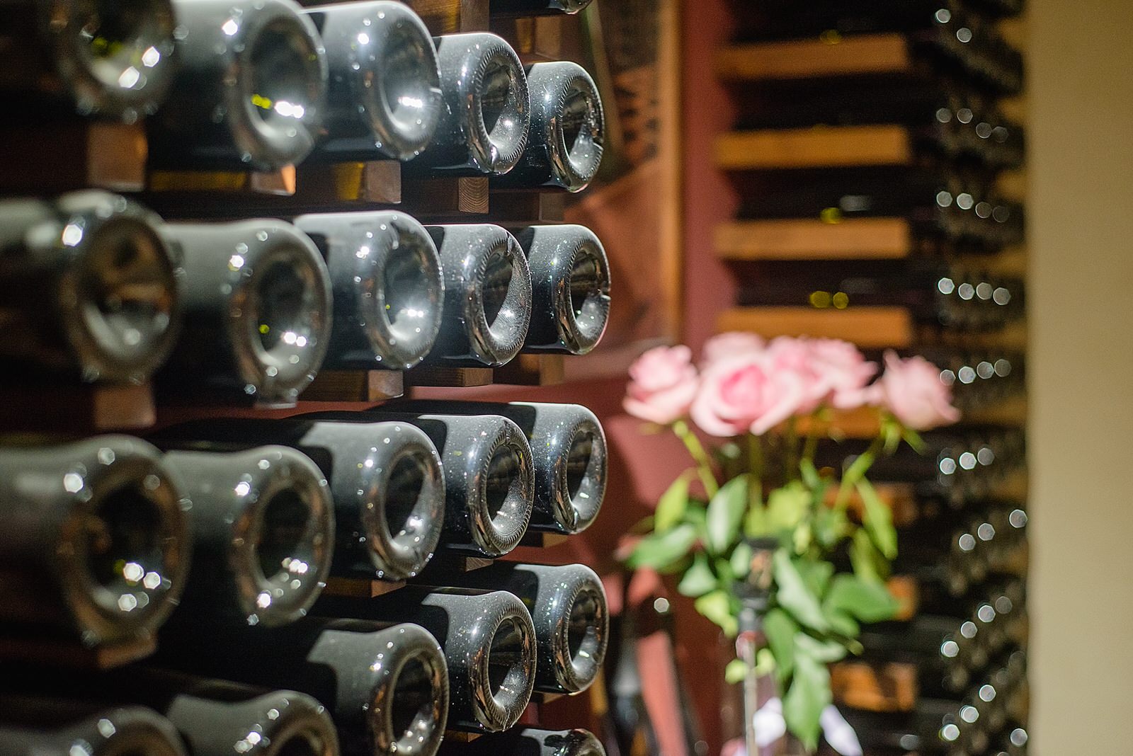 Обложка проекта: Абрау Дюрсо