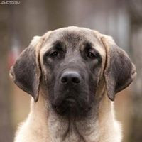 Мария Сухарева