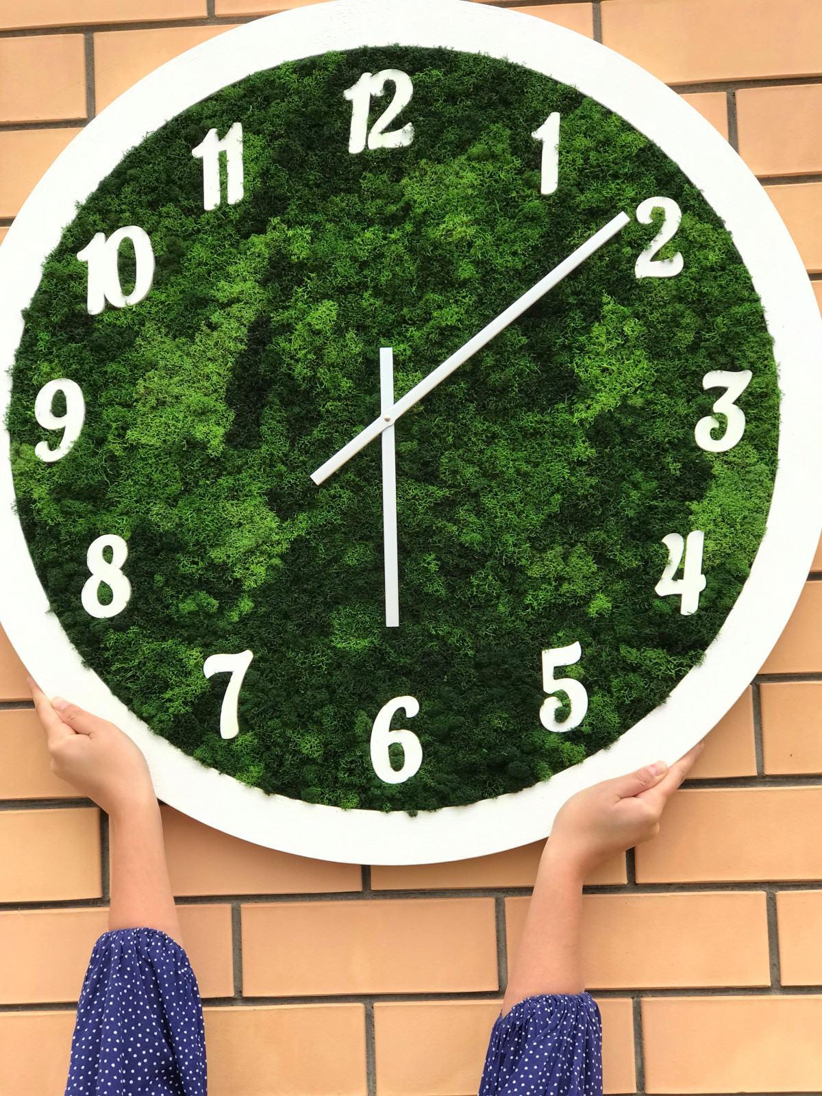 Обложка проекта: Часы из стабилизированного мха