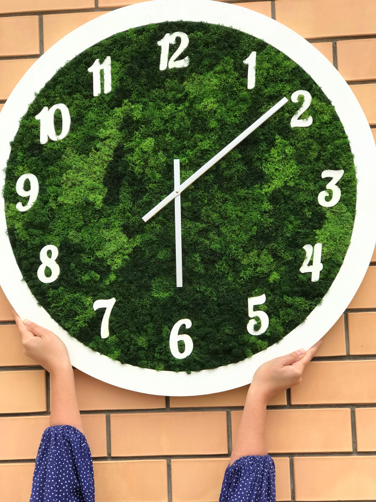 Обложка проекта: Часы из стабилизированного мха