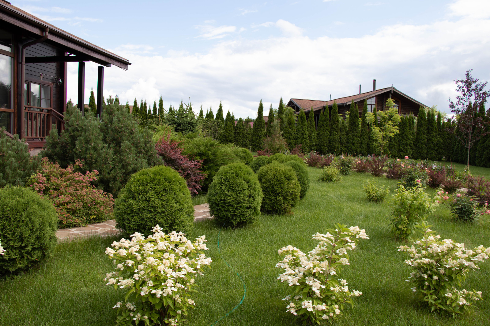 Сосновые берега