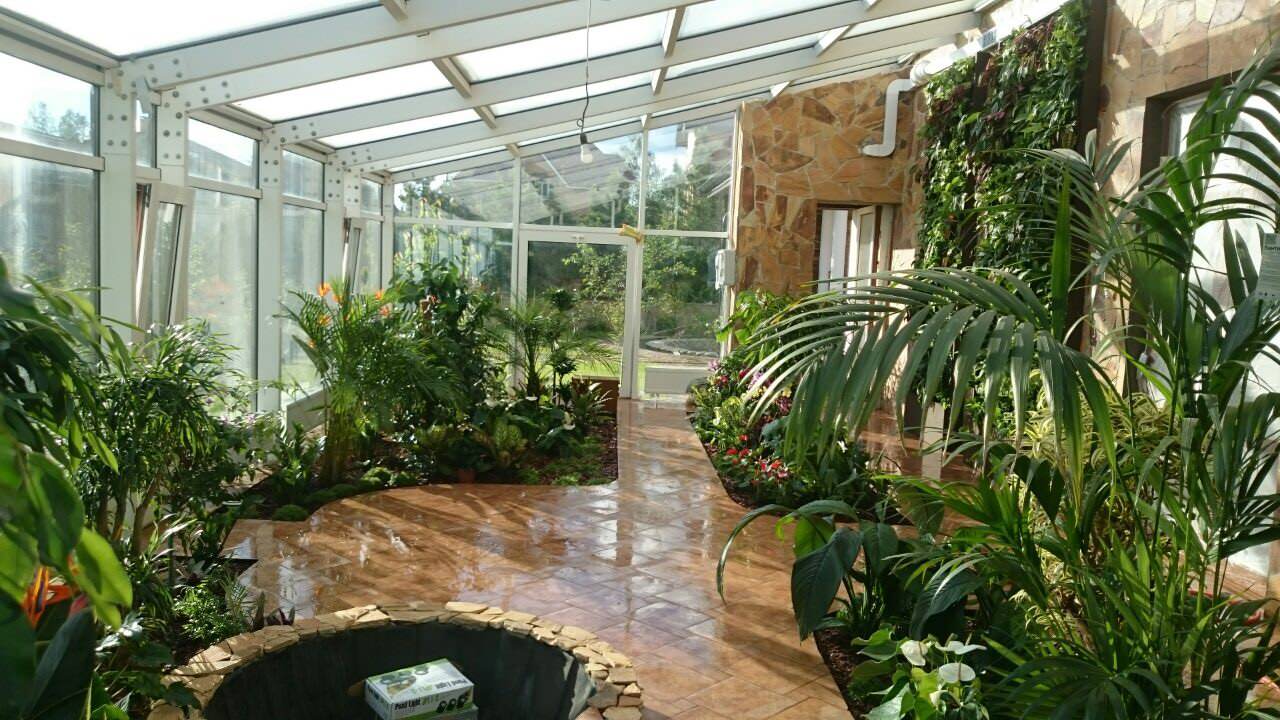 Зимний сад. Калининец