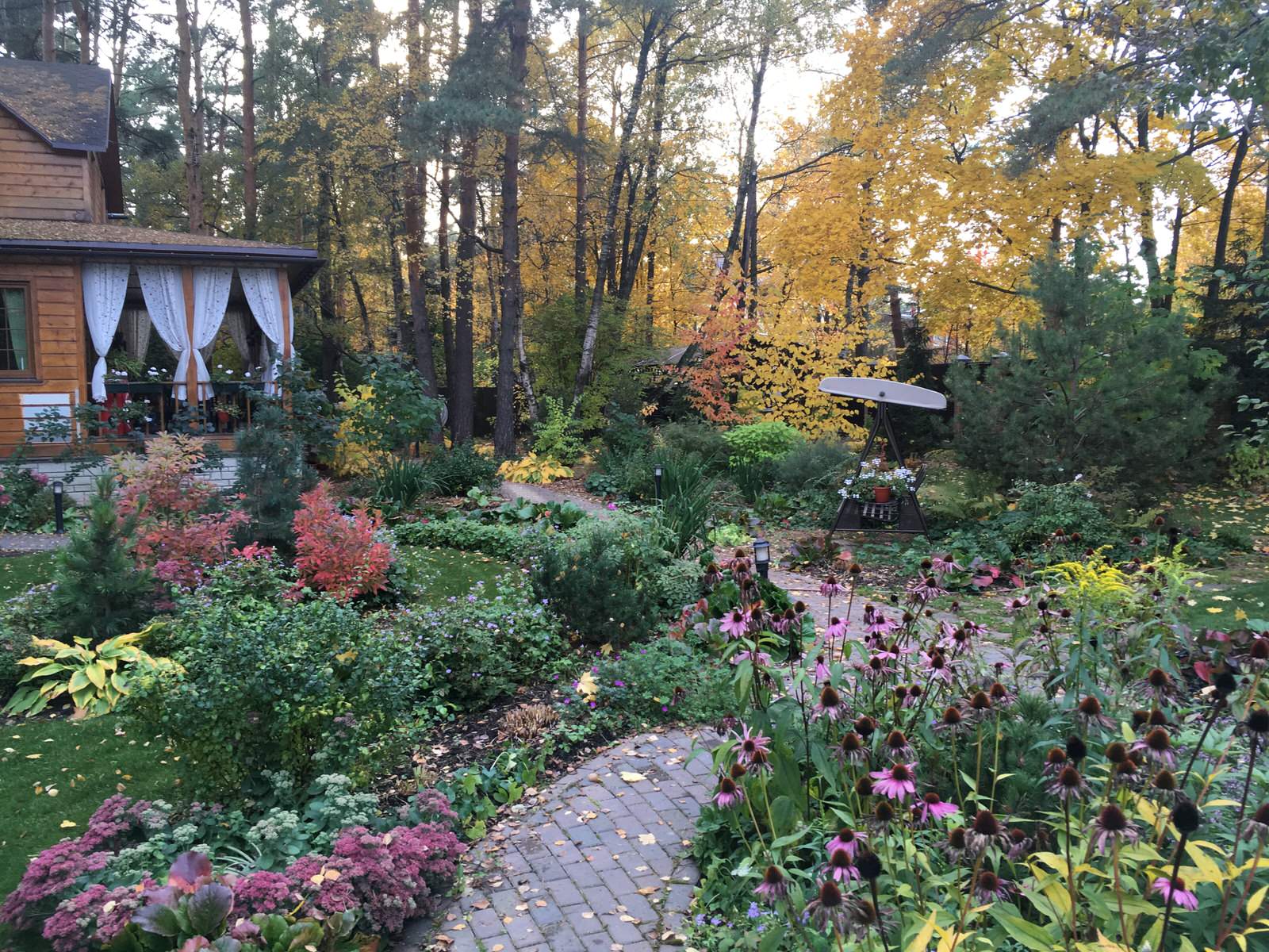 Белкин сад. Осень 2019