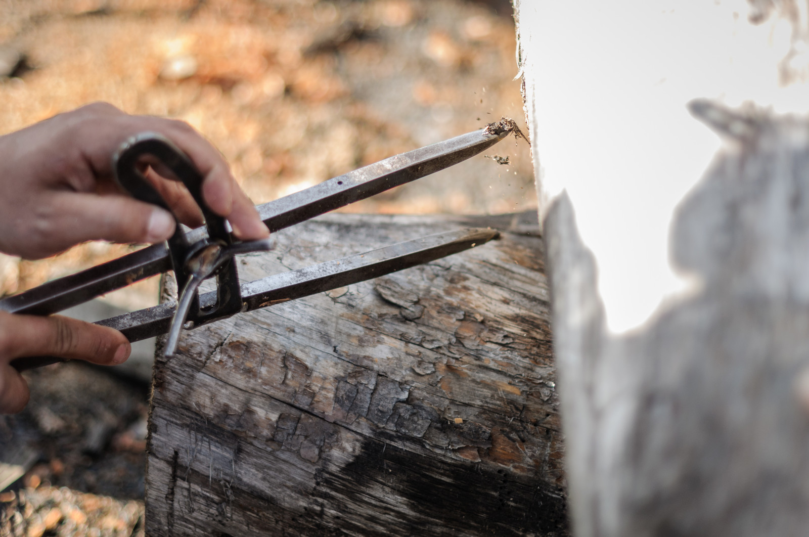 Производство и заготовка