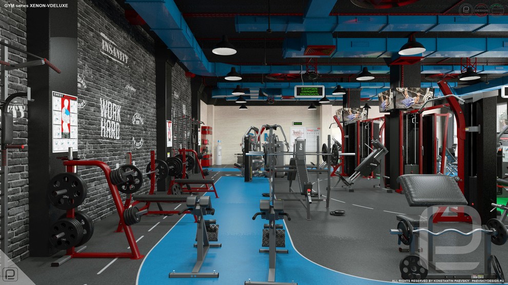 Тренажерный зал GYM series XENON-VDELUXE