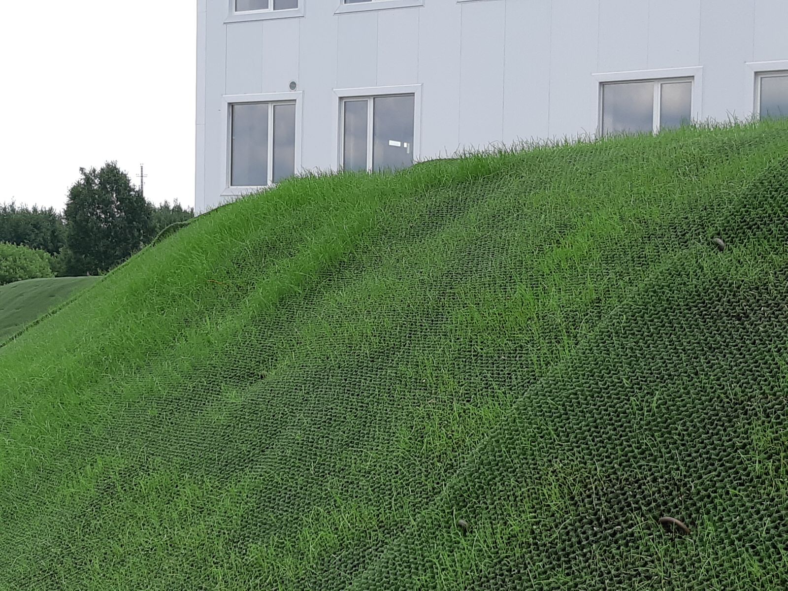 Парк Здоровье