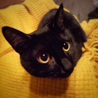 Алексей Денисов