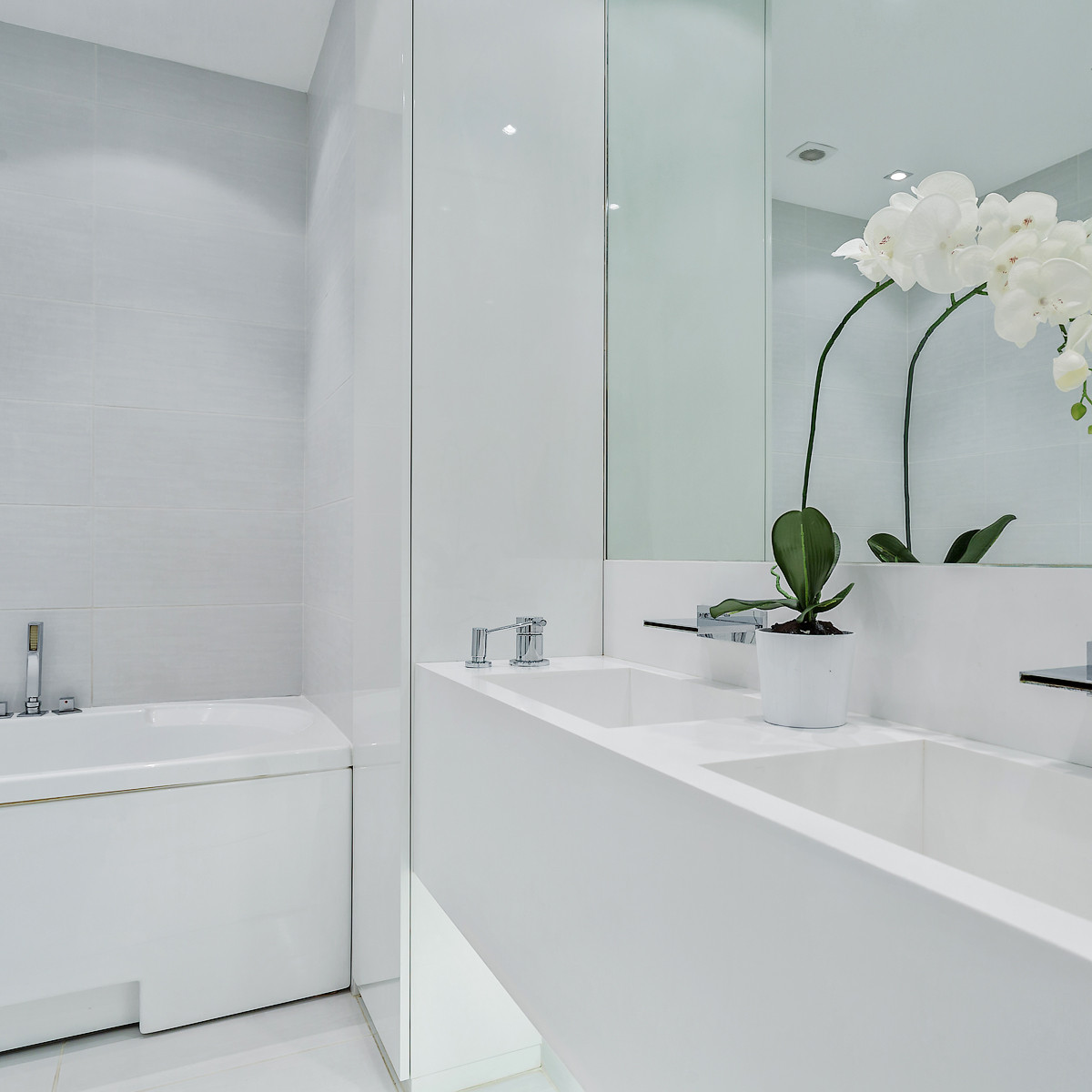 Проект в белом