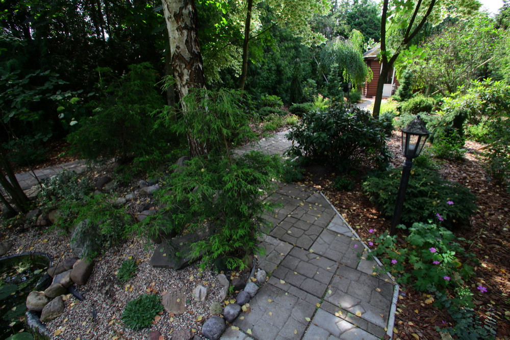 Ильинка. Реконструкция сада