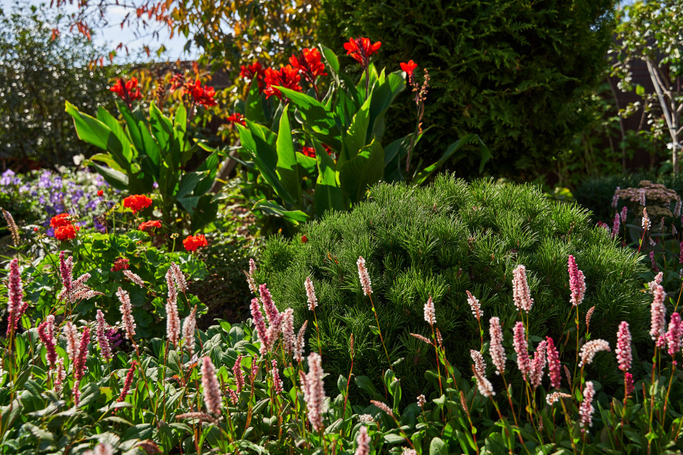 Сад в розовой дымке