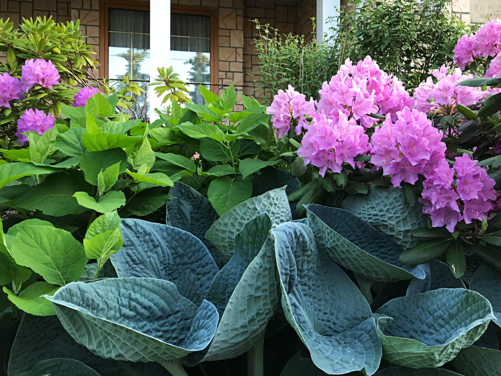 КП Княжье Озеро, 0,16 га