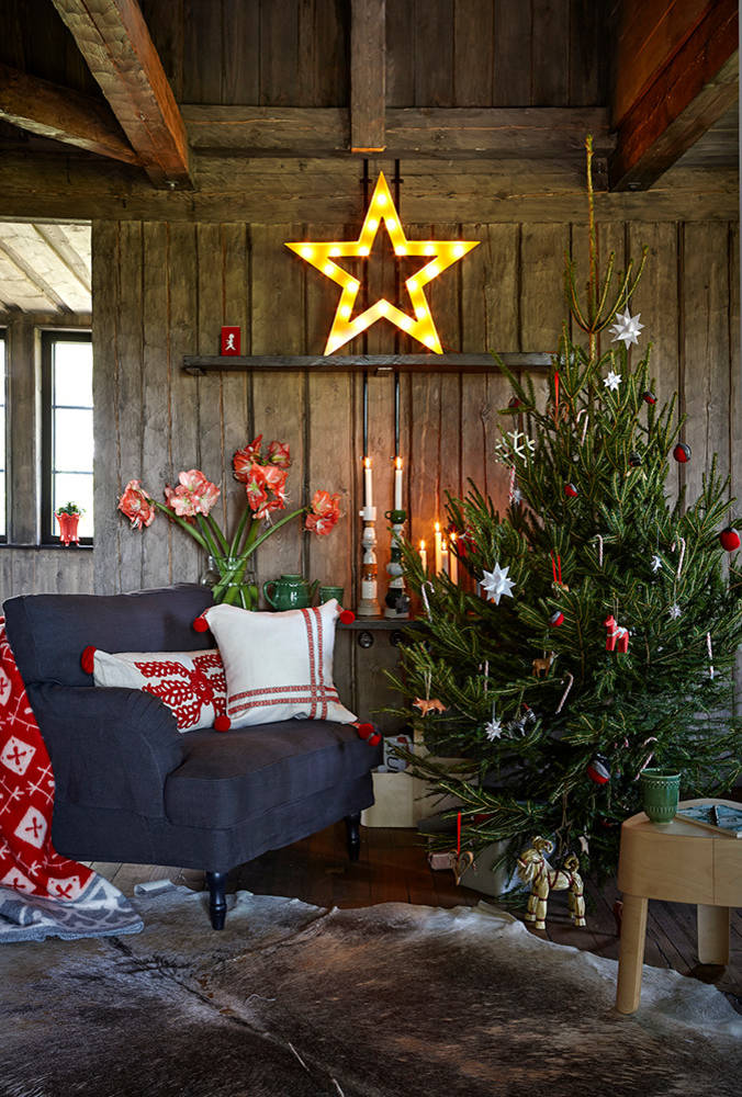 Есть такая профессия: Выращивать новогодние ёлки